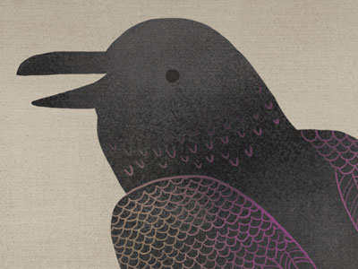 Baba the Raven by Emily Dove on Dribbble