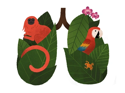 Amazon Lungs actforamazonia amazon amazonrainforest animals brazil climatechange ecofriendly environment goldenliontamarin govegan icon illustration kidlitforclimate lungsoftheearth macaw nature orchid plants rainforest treefrog