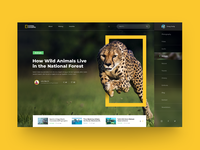 National Geographic by Art Lemon on Dribbble