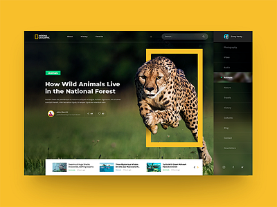 National Geographic animals artlemon concept geographic green site ui ux web website yellow