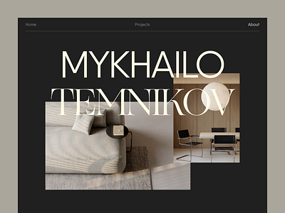 Mykhailo Temnikov architecture branding design graphic design interior typography ui web