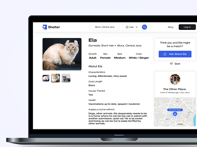 Shelter WebApp cat pet ui website