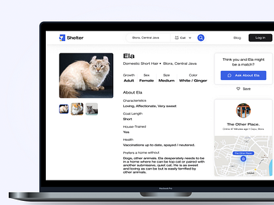 Shelter WebApp