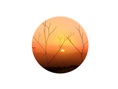 sunset design illustration