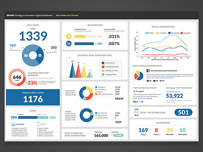 Data Infographic Dashboard