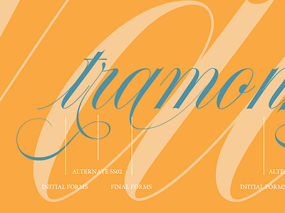 "tramontana" Nautica typeface