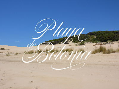 Playa de Bolonia beach nautica playa script type