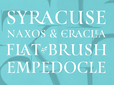 Syracuse brush calligraphy capitals romans type