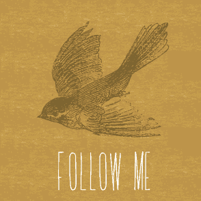 Follow Me - Adelaida Font bird condensed font twitter typeface vintage