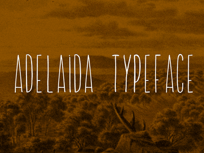 Adelaida TypeFace adelaida australia condensed curve font light type