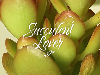 Succulent Lover