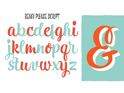 Beach Please Script - Lowercase ampersand brush typography ligatures script type