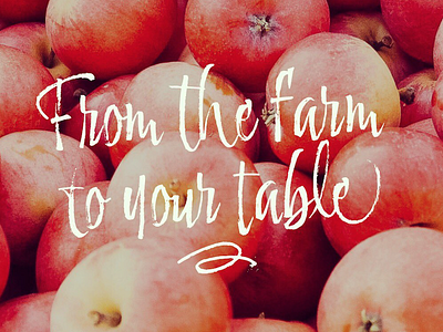 Adore You Fonts - Apples apples brush calligraphy font fruits type