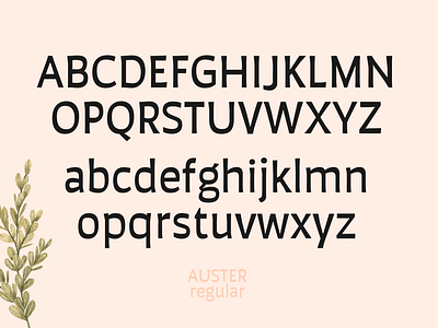 Auster Regular design font type typography