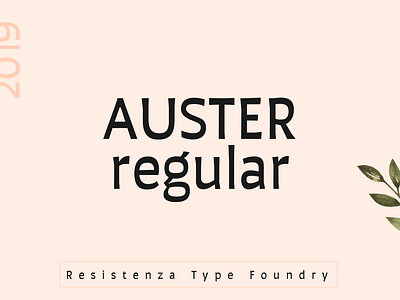 Auster Regular design font type typography