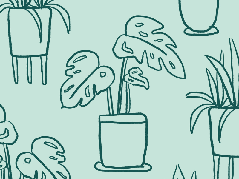 Christmas Tree Shops Doodles branding monochromatic doodle illustration