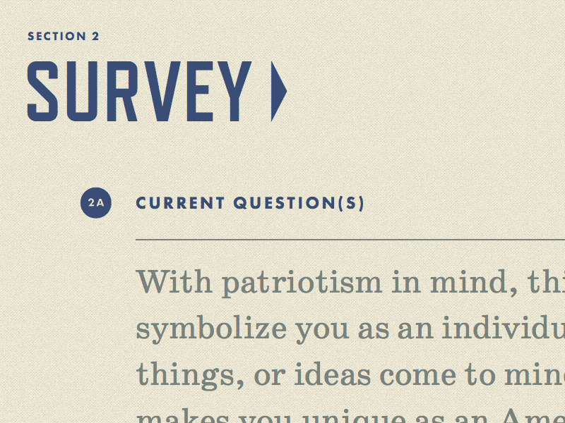 American Imagery Bank - Form Details aib american contact form detail form patriotic ui ux web