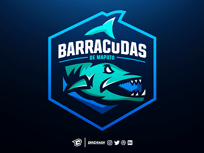 Barracudas Logo