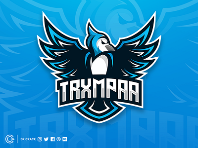 Trxmpaa Logo bird blue jay brand dr.crack drcrack gaming identity logo streamer wings