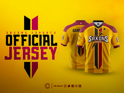 Schaumburg High School Esports Official Jersey brand esport esports gaming jersey jersey design uniform uniform design