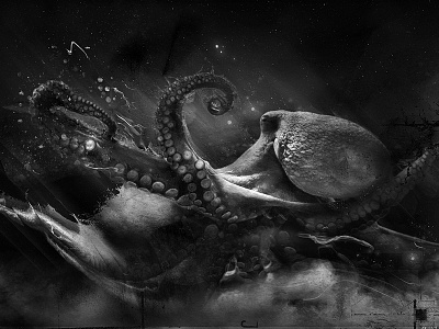 WIP > Octo animal black black white cintiq companion octo octopus particles smoke wacom white work in progress