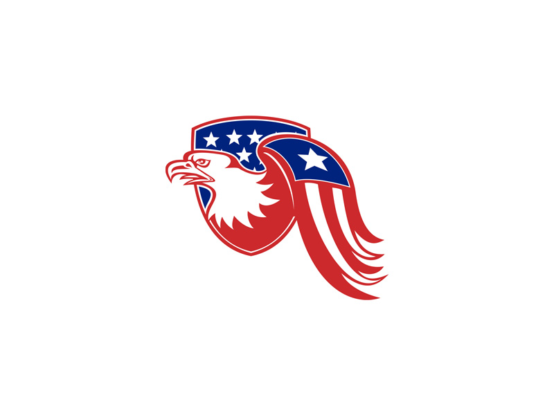 American Eagle USA Flag on Wing by Retro Vectors Limited on Dribbble