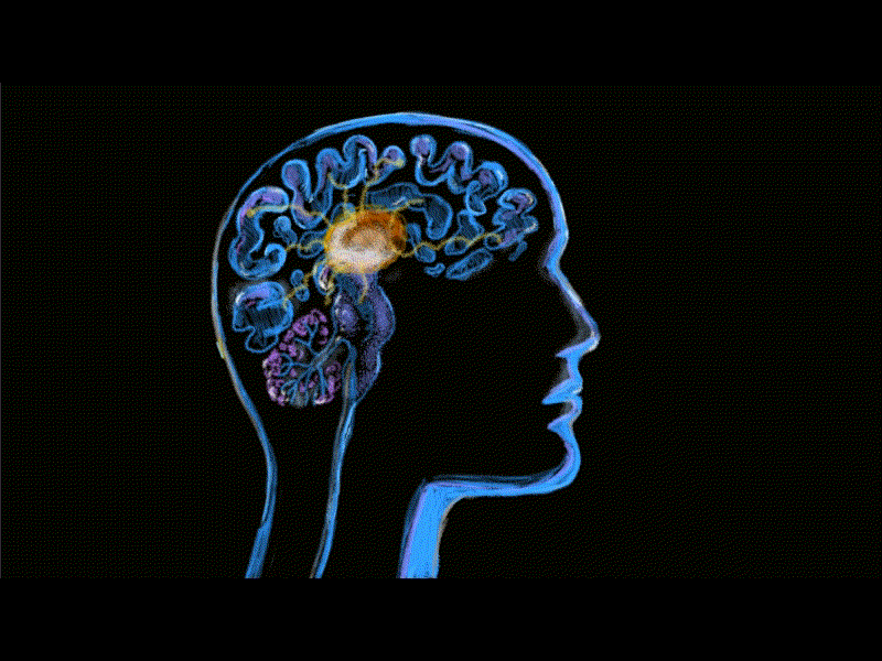 Human Brain Neuron Activity Watercolor 2D Animation