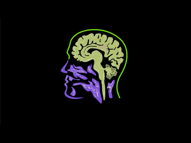 Brain Scanning 2D Animation 2d animation animation brain brain activity brain imaging brain scan brain scanning computerised tomography scan ct scanning functional imaging head human magnetic resonance imaging motion graphics mri neuroimaging para sagittal mri pharmacology radiology structural imaging