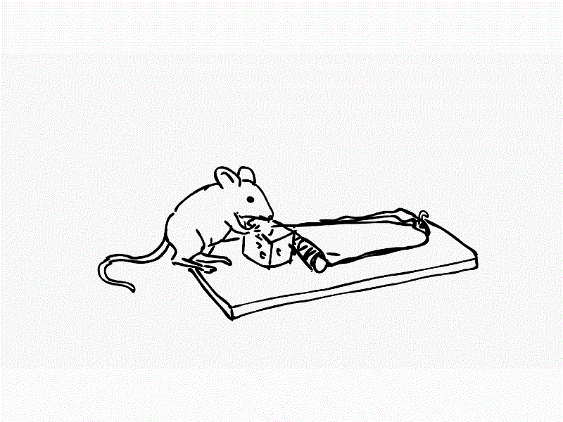 Mouse Caught in Mouse Trap Drawing 2D Animation 2d animation animal animation attraction bait catch cheese control danger death drawing lure mouse mouse trap mousetrap pest rat risk rodent trap