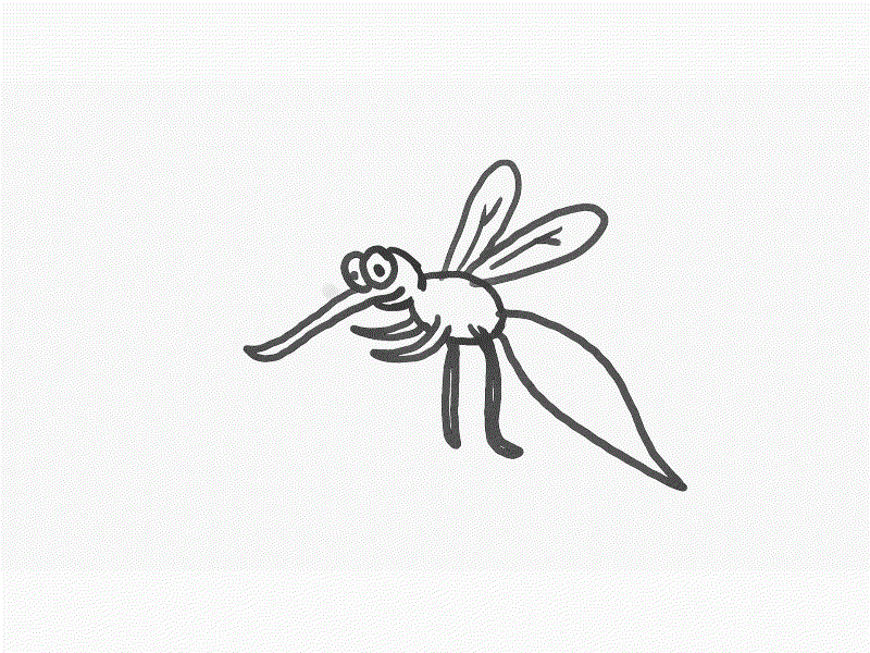 Mosquito Flying Drawing 2D Animation by Retro Vectors Limited on Dribbble