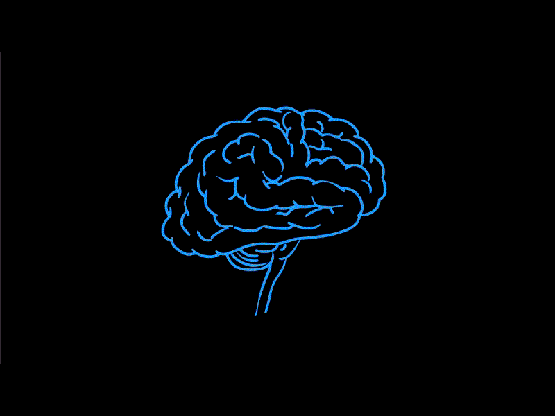 Human Brain Scan Low Polygon Mesh 2D Animation by Retro Vectors Limited on  Dribbble