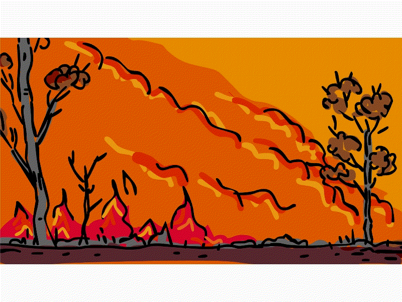 Forest Fire Color Drawing 2D Animation 2d animation animation burning burnt bushfire destruction drawing fire flame forest forest fire heat nature retro rural smoke tree wild wildfire wildland fire