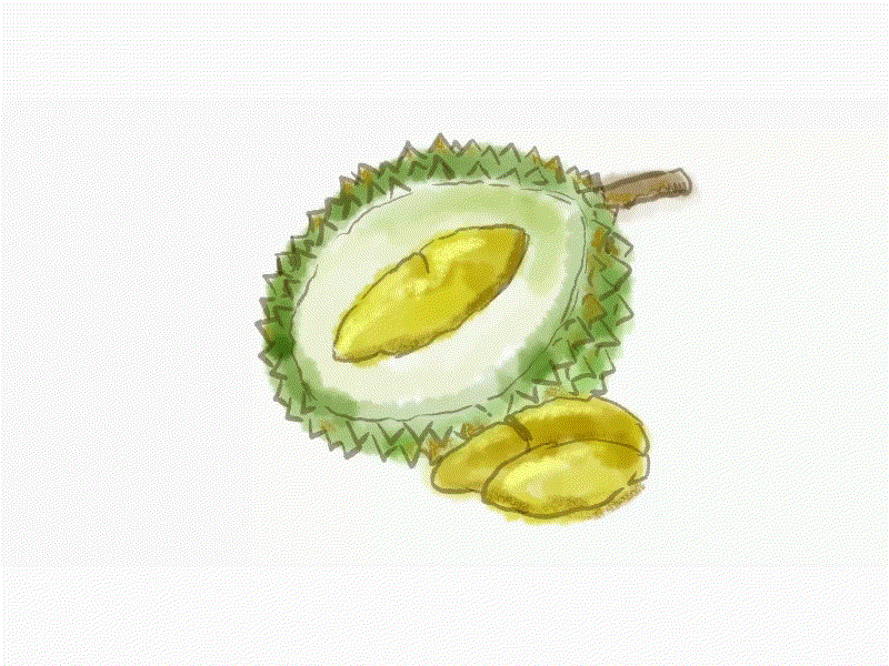 Durian fruit Watercolor Time Lapse 2D Animation 2d animation animation diet drawing durio exotic food fresh fruit harvest king of fruits nutrition organic time lapse time-lapse timelapse tropical video watercolor