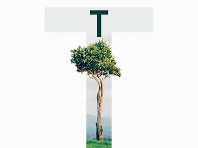 "T" Uppercase from the upcoming typeface "ELEGANTPRO" minimal typography