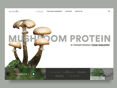 Mushroom Protein Homepage composition concept concept design design hello dribbble landing landing page design protein skecth typography ui web