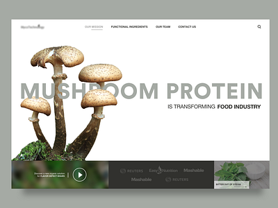 Mushroom Protein Homepage