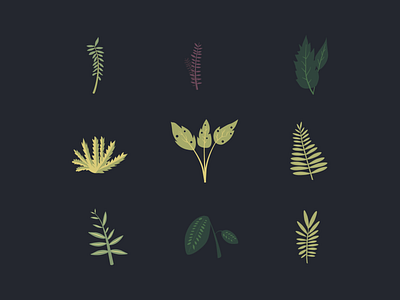 Leafage design illustration natural nature