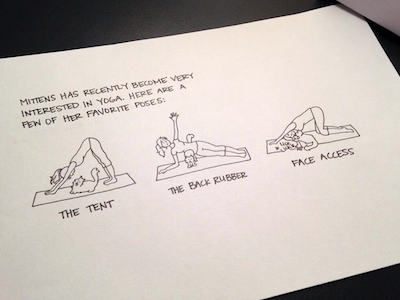 Cat Yoga comics illustration