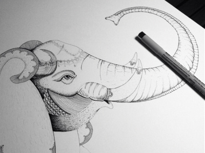 Elephant elephant illustration micron pen ink