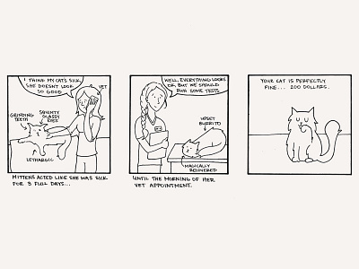 Mystery Malady cats comics illustration mainecoon