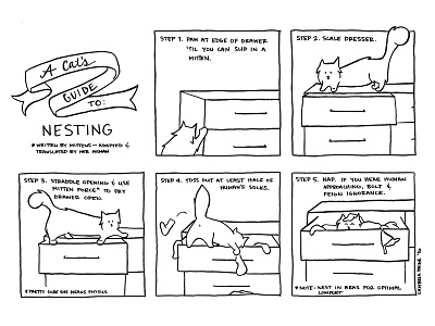 A Cat's Guide to: Nesting cats comics illustration mainecoon