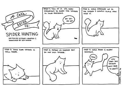 A Cat's Guide to: Spider Hunting cats comics illustration mainecoon