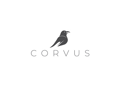 Corvus bird crow raven