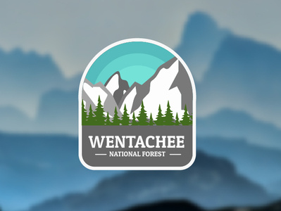 Wentachee National Forest design icon illustration logo mountain mountain bike thirty day logo challenge thirty day logos thirtylogo thirtylogos vector web wentachee