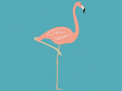 Flamingo bird design illustration