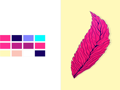 FEATHER 2d color design feather illustration vector vectorart