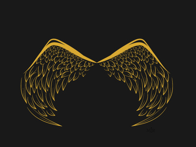 Wings 2d design fly illustration vector vectorart wings