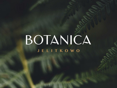 Botanica - Branding apartment apartments branding design editorial design identity logo luxury real estate studio
