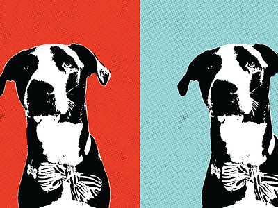 Gus Gus custom design dog illustration dog portrait illustration mixed media pop art poster print
