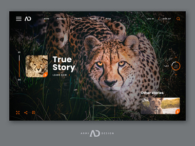 Animal stories website concept animal art animals graphic design minimal ui uidesign ux uxdesign web design webdesign webdevelopment website website design